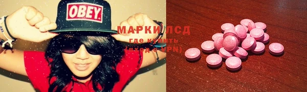 PSILOCYBIN Бугульма
