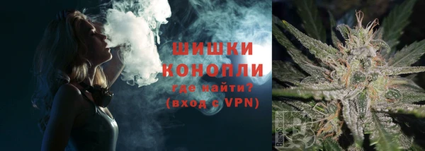 PSILOCYBIN Бугульма