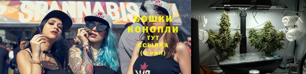 прущий лед Бородино