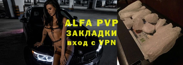 прущий лед Бородино