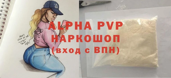 прущий лед Бородино