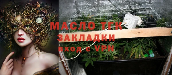 прущий лед Бородино