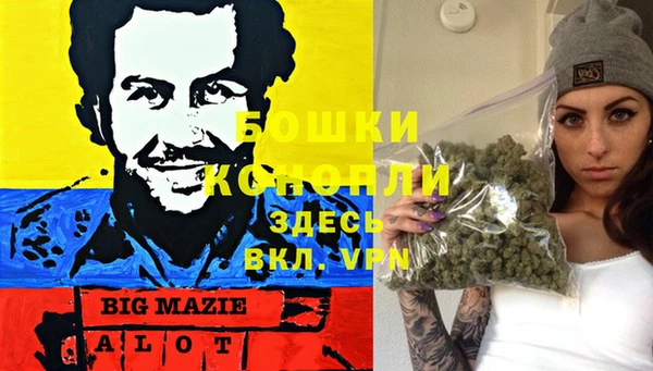 ешки Бронницы