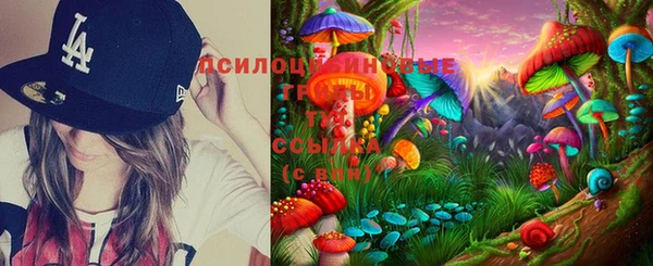 ешки Бронницы