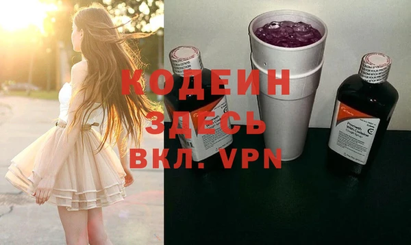прущий лед Бородино